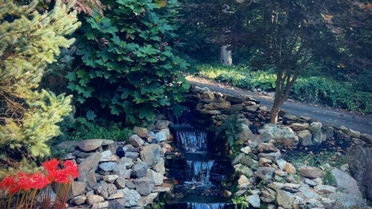 Photo of Outdoor in Ellijay