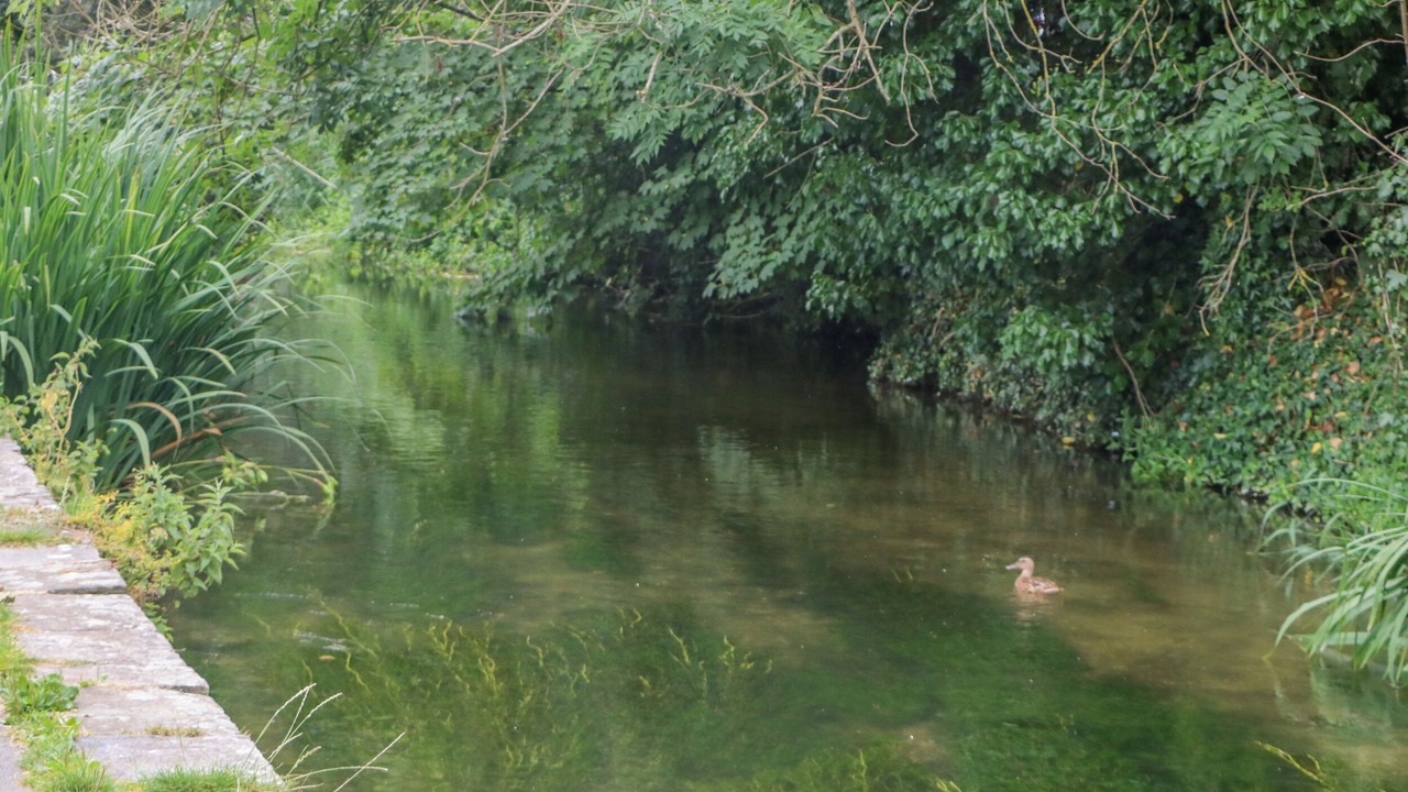 Photo of Outdoor in Dorchester