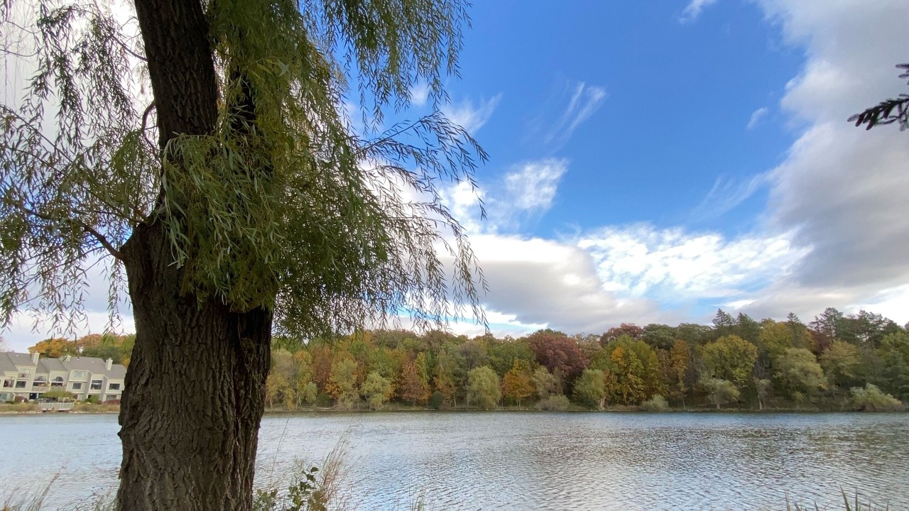 Photo of Outdoor in Lake Barrington