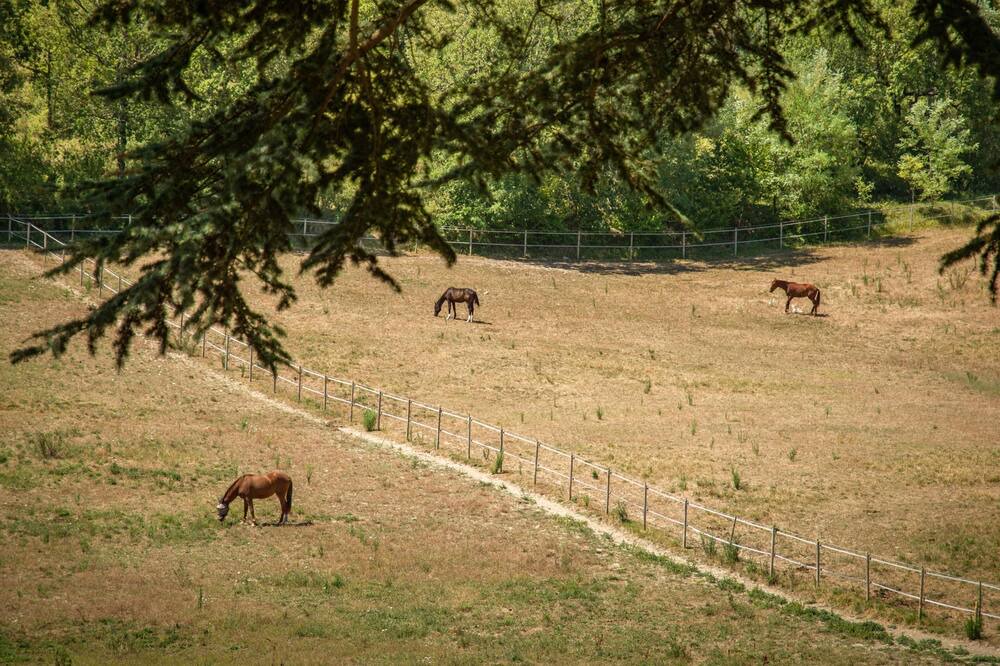 Photo of Others in Tournon-d'Agenais