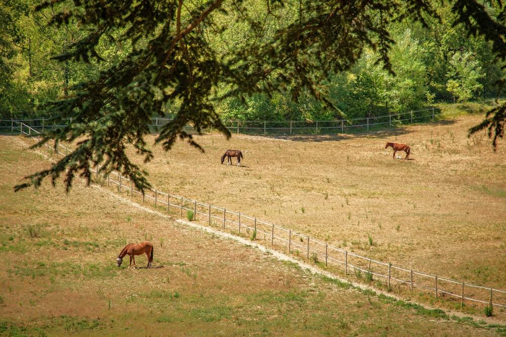 Photo of Others in Tournon-d'Agenais