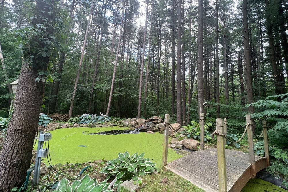 Photo of Outdoor in Caledon