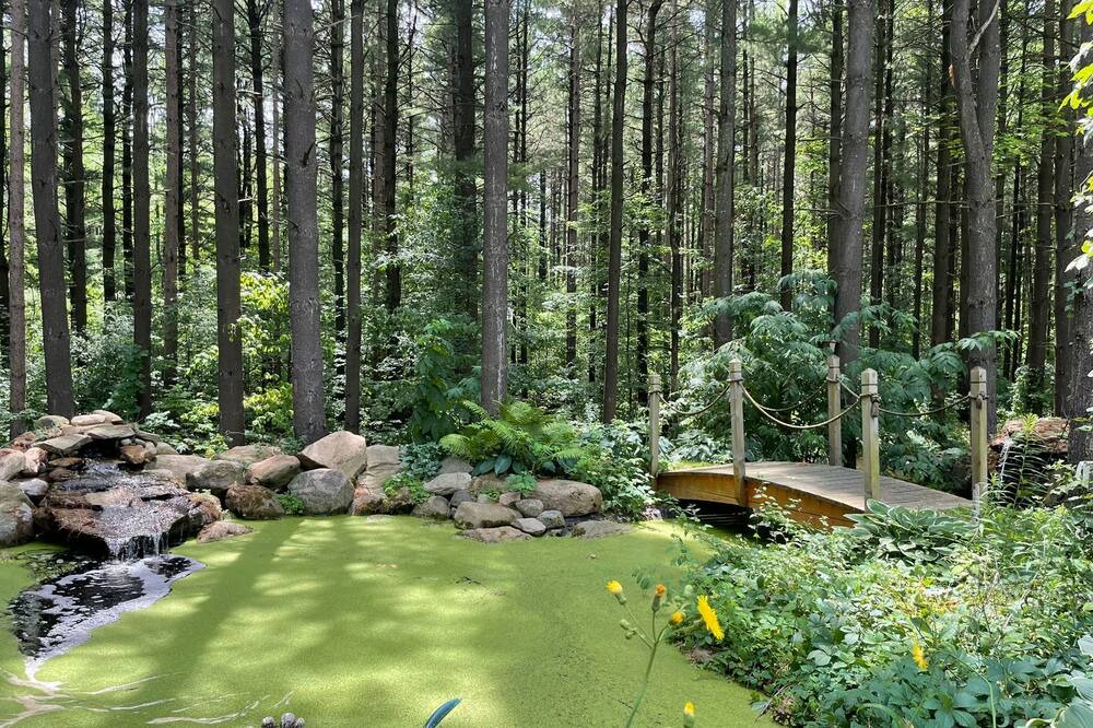Photo of Outdoor in Caledon