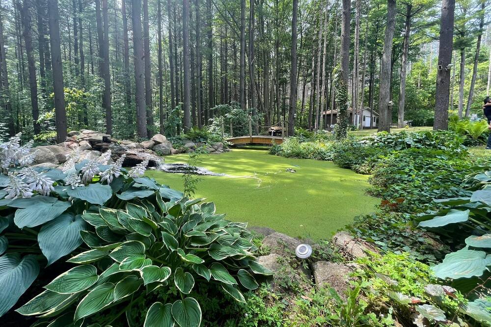 Photo of Outdoor in Caledon