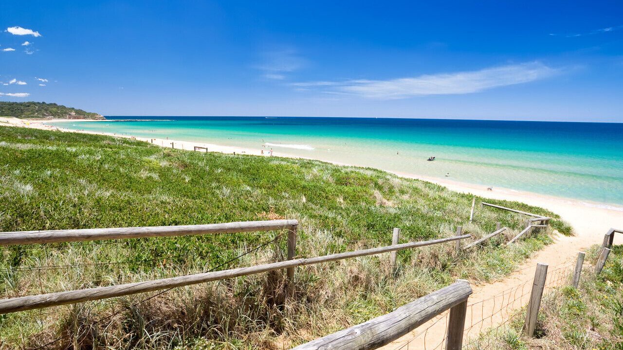 Photo of Others in Narrabeen