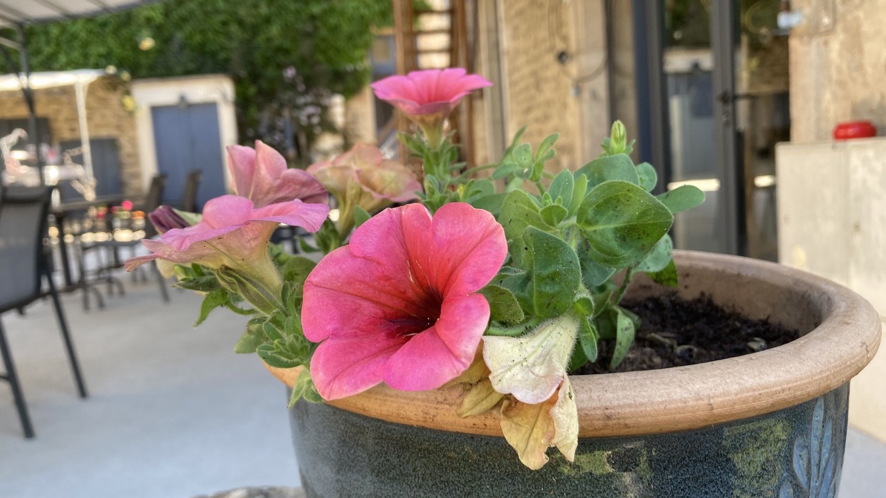 Photo of Outdoor in Saint-Romain