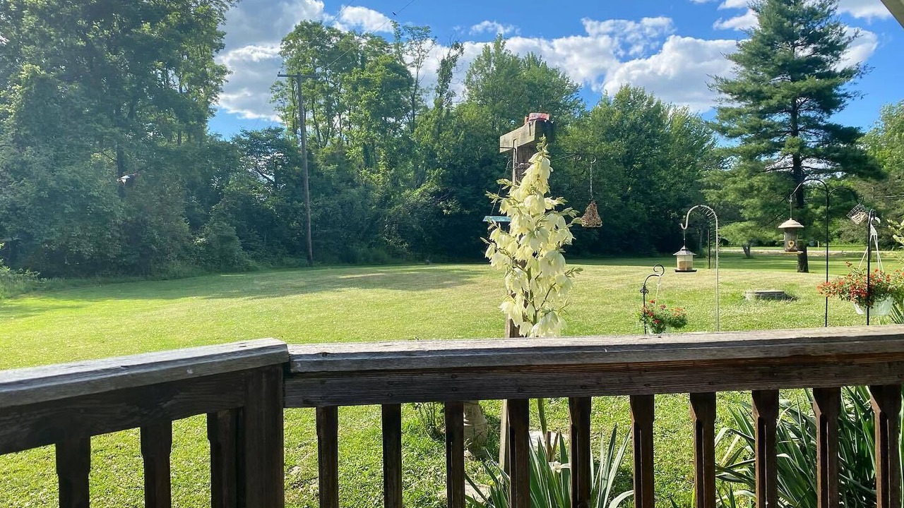 Photo of Outdoor in Flat Rock
