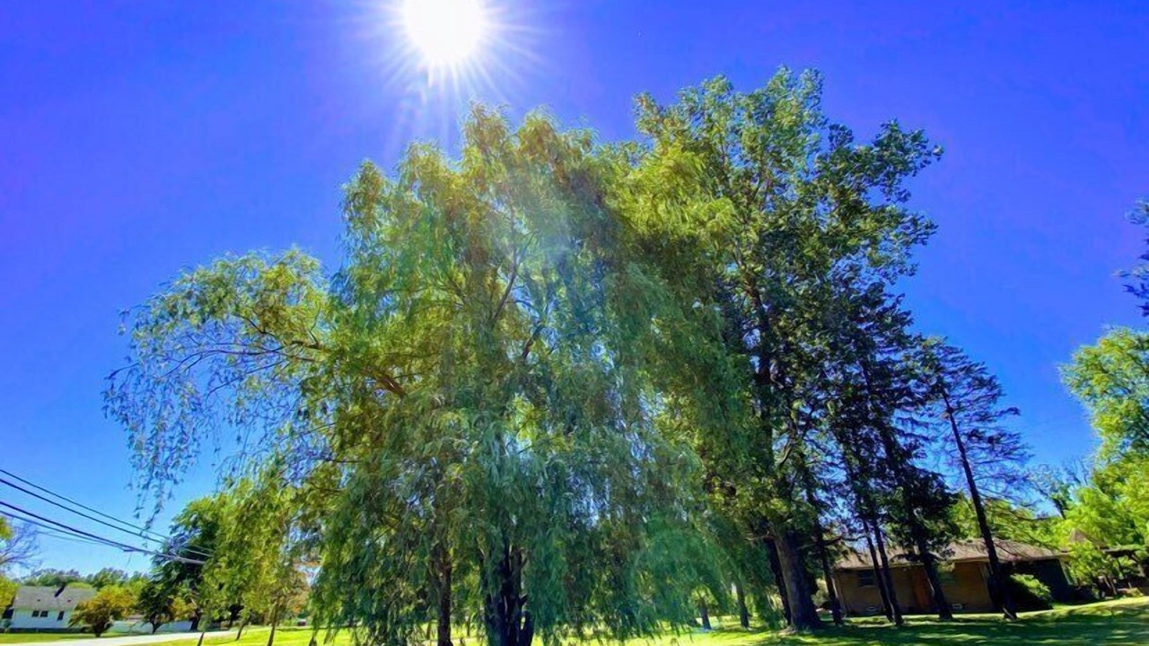 Photo of Outdoor in Flat Rock
