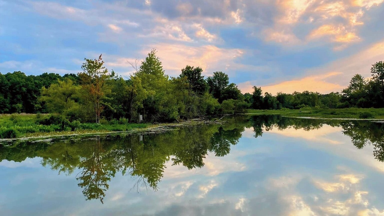 Photo of Outdoor in Flat Rock