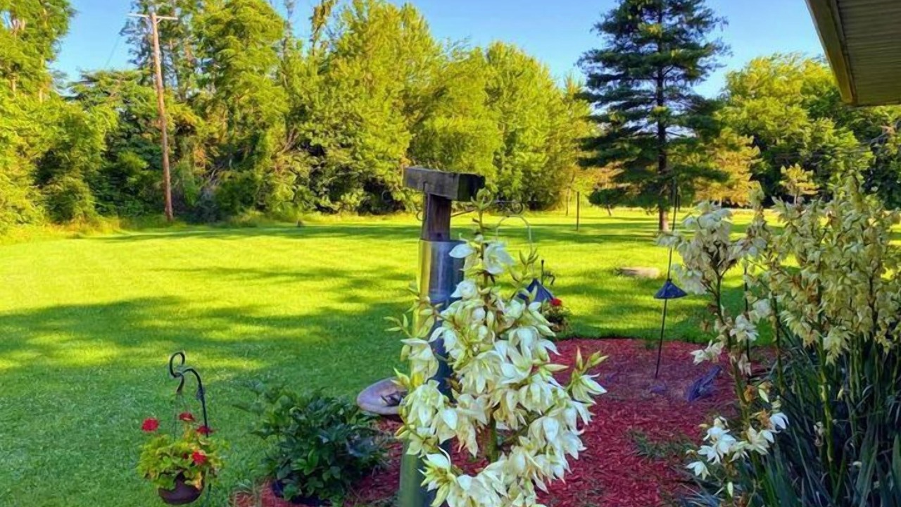 Photo of Outdoor in Flat Rock