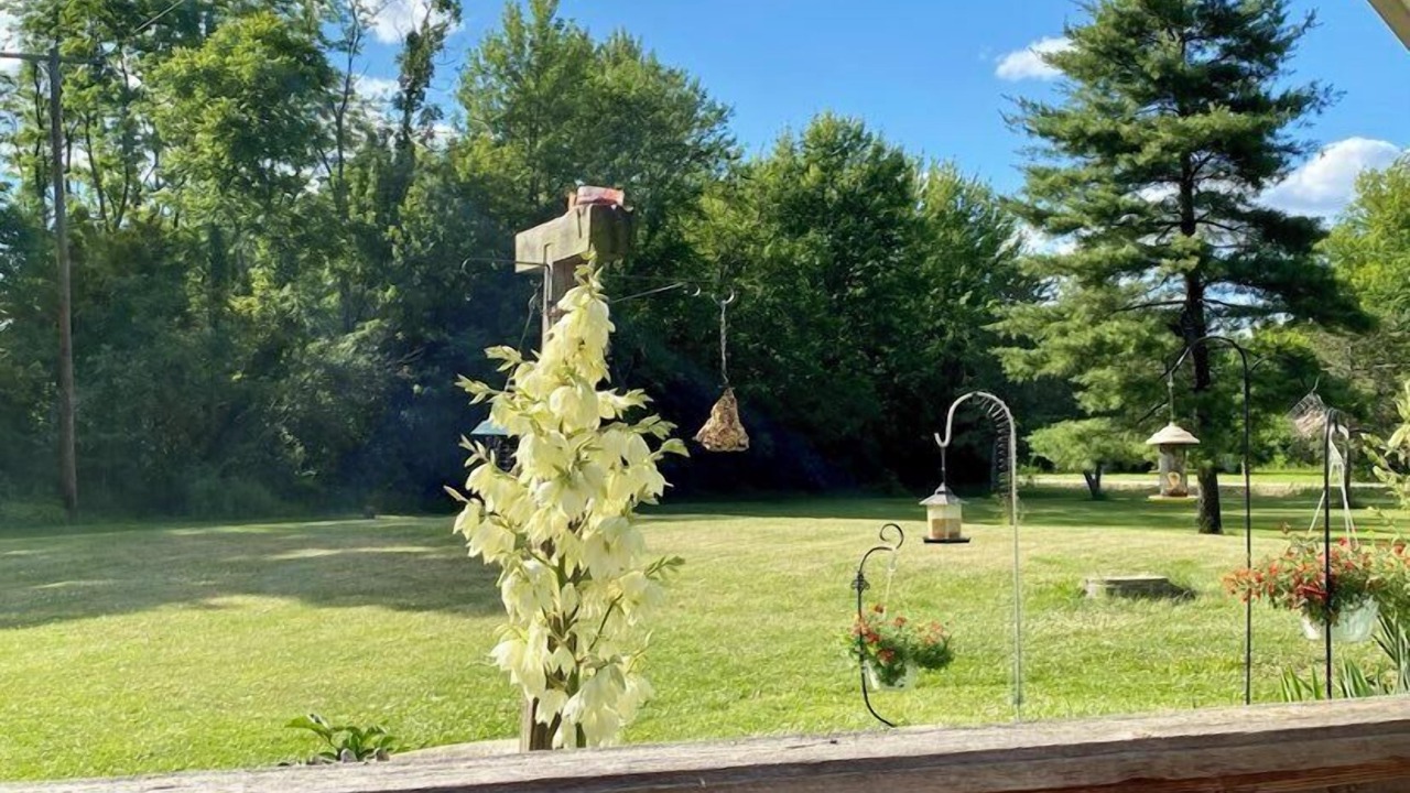 Photo of Outdoor in Flat Rock