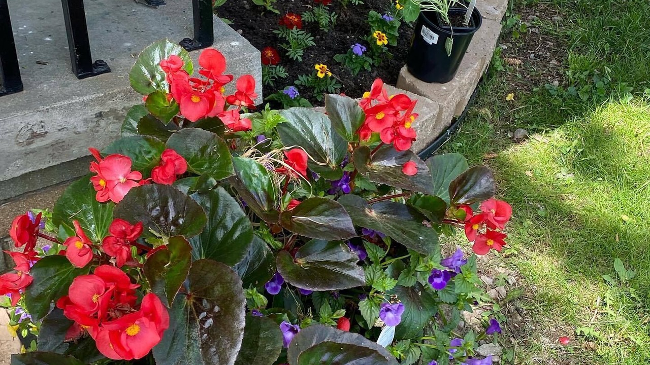 Photo of Outdoor in Flat Rock
