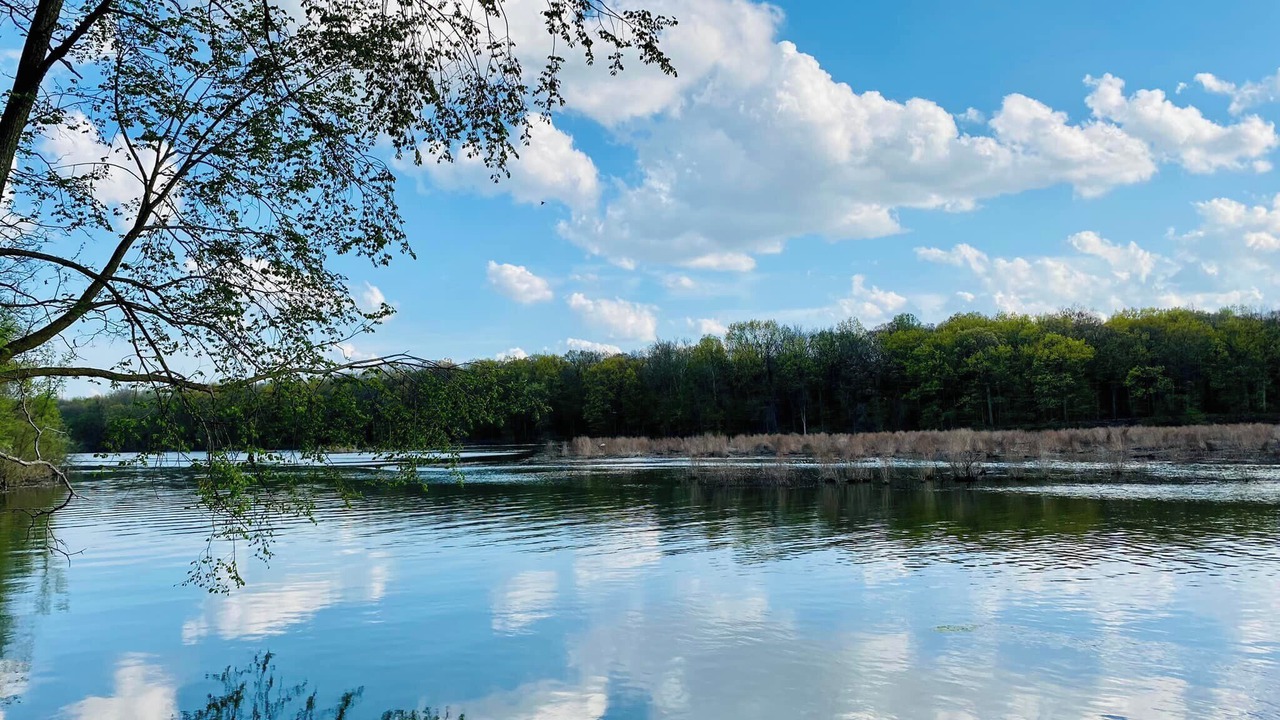Photo of Outdoor in Flat Rock