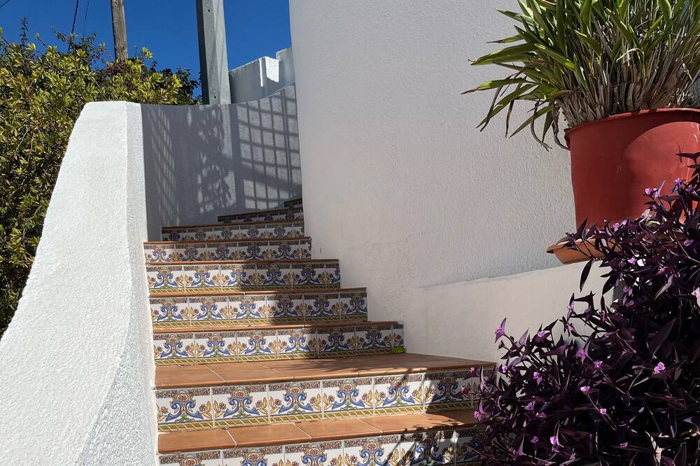 Photo of Outdoor in Oliva