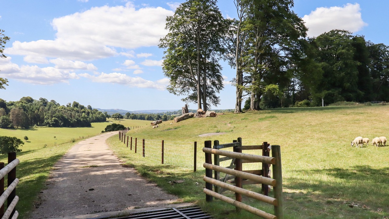 Photo of Outdoor in Eleighwater