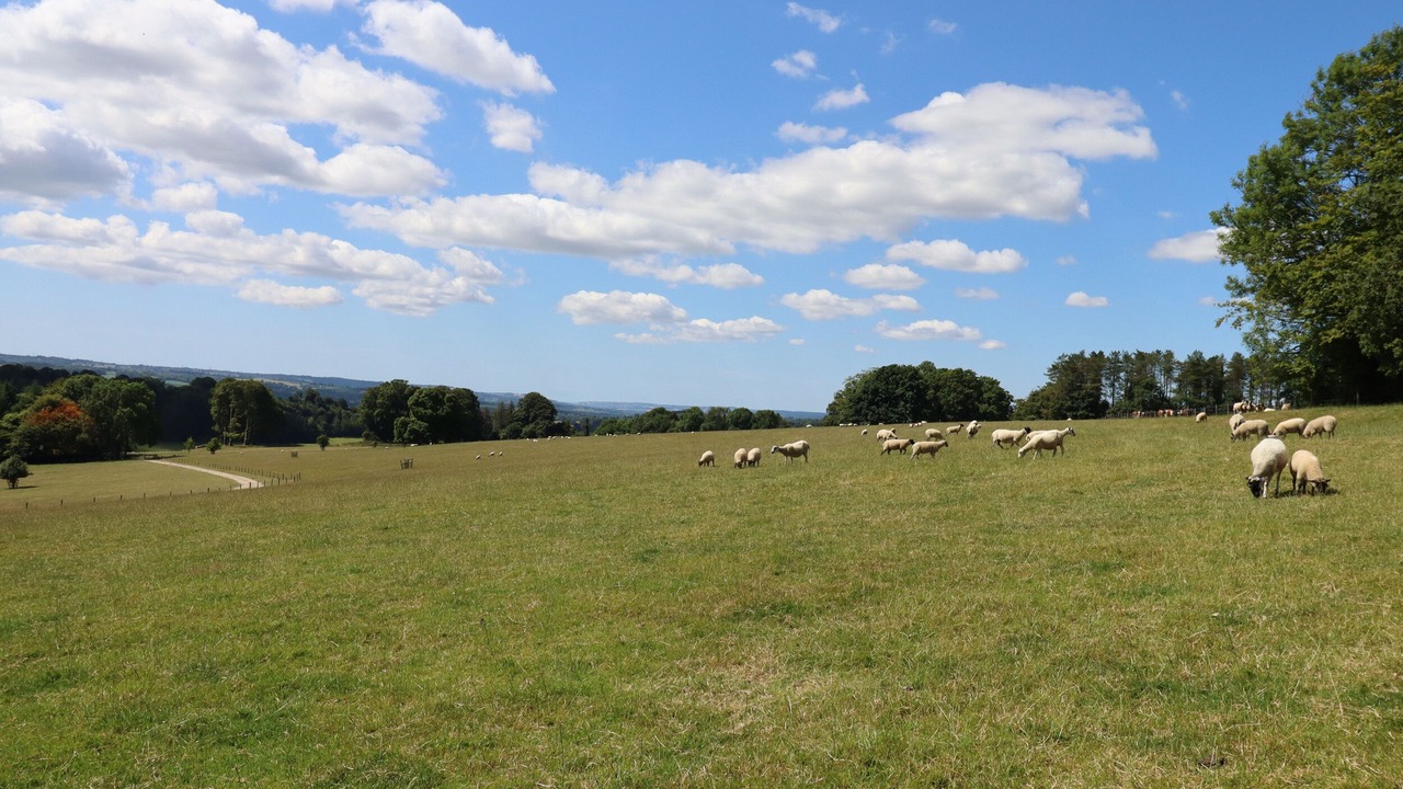 Photo of Outdoor in Eleighwater