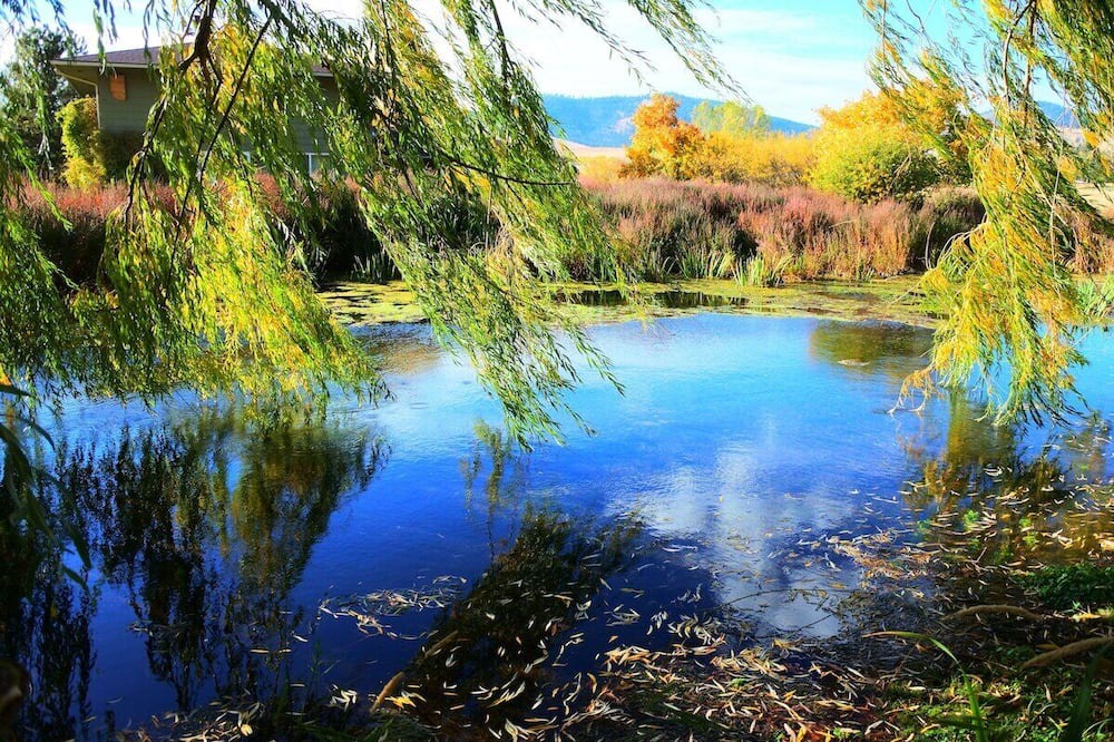 Photo of Outdoor in Polson