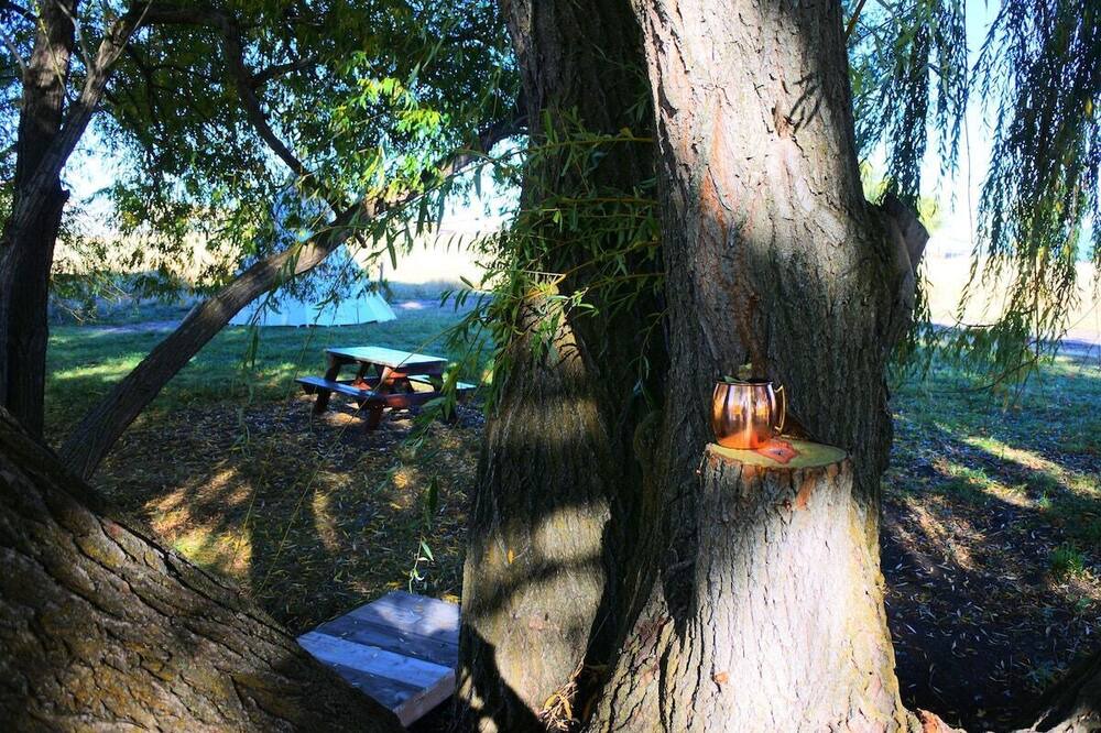 Photo of Outdoor in Polson