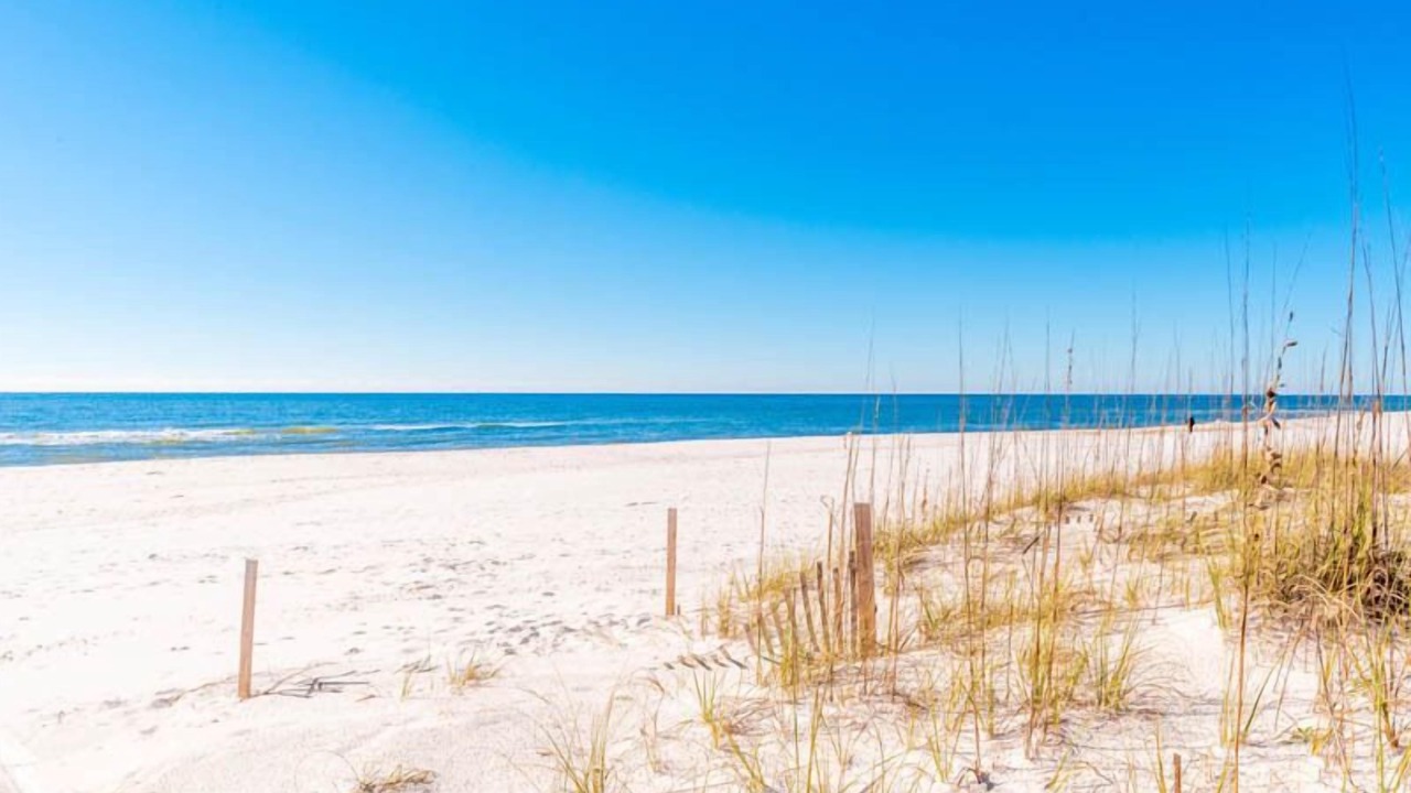 Photo of Others in Ono Island