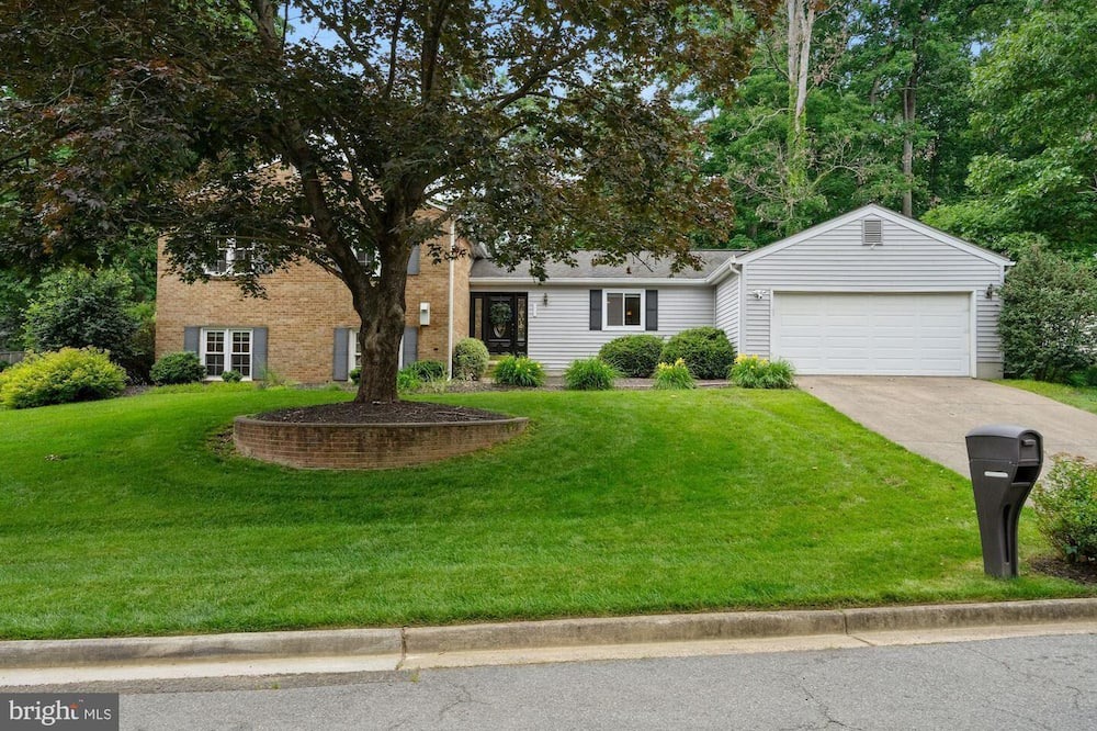 Photo of Others in Tysons