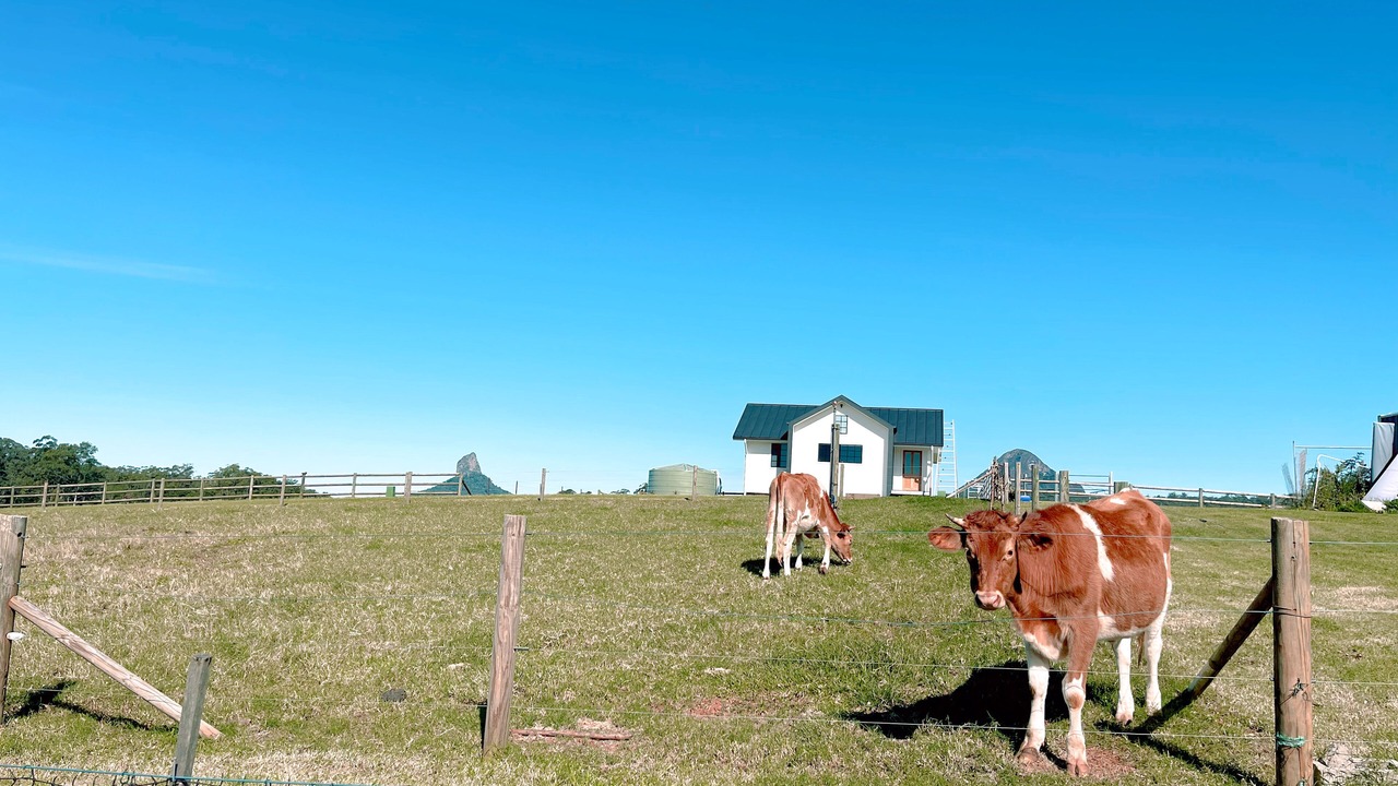 Photo of Outdoor in Beerwah