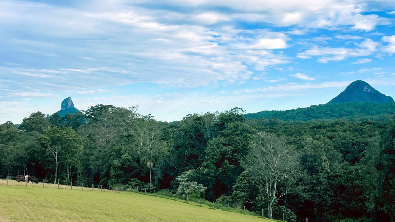 Photo of Outdoor in Beerwah