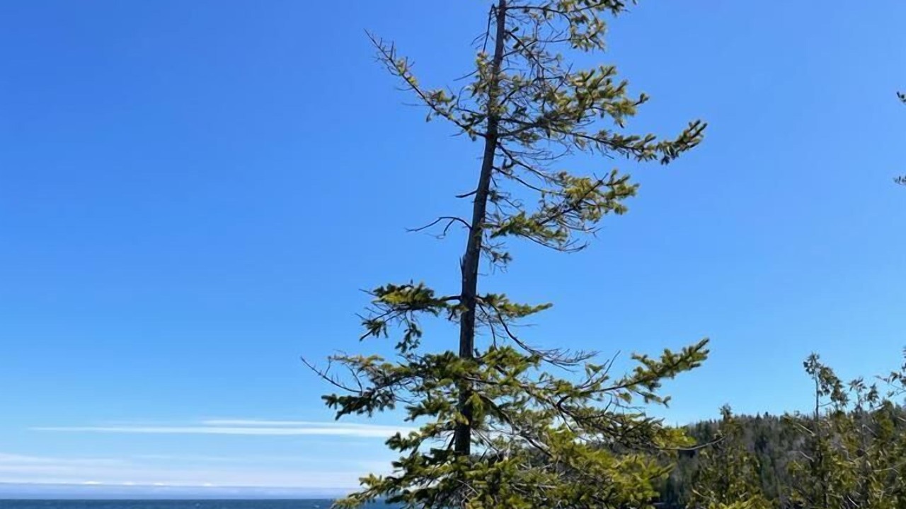 Photo of Others in South Bruce Peninsula