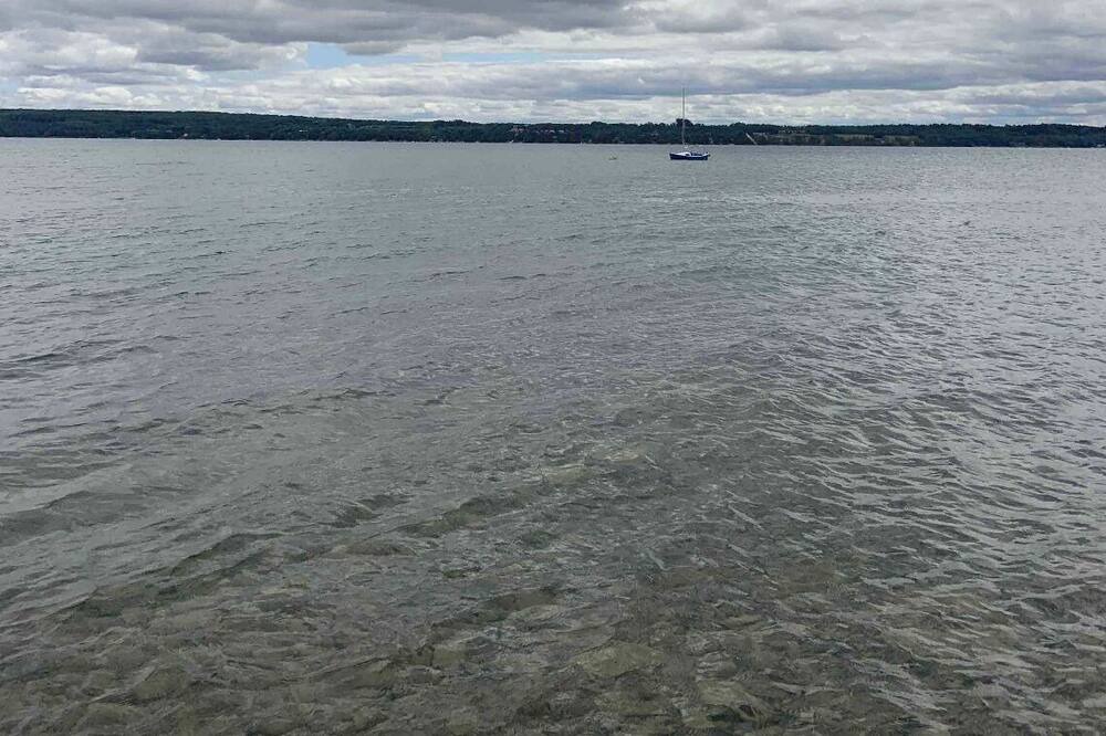Photo of Others in Colpoys Bay