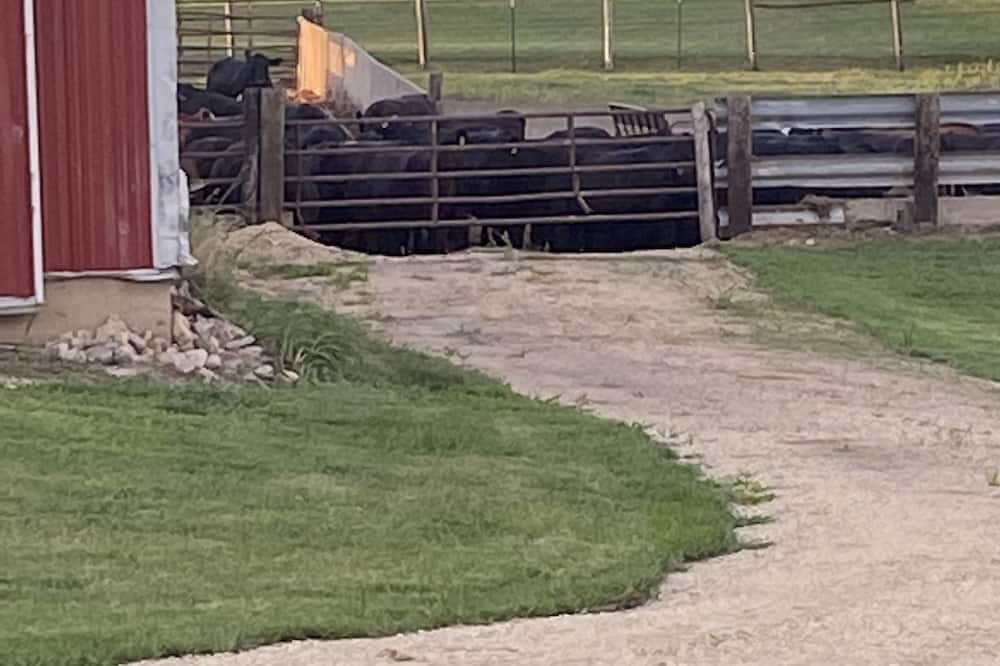 Photo of Outdoor in Dyersville