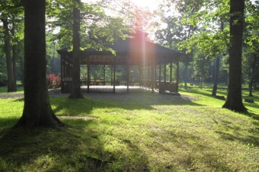 Photo of Outdoor in Brooklyn