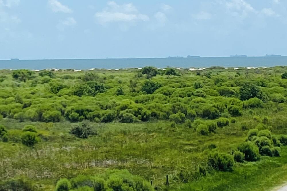 Photo of Others in Crystal Beach