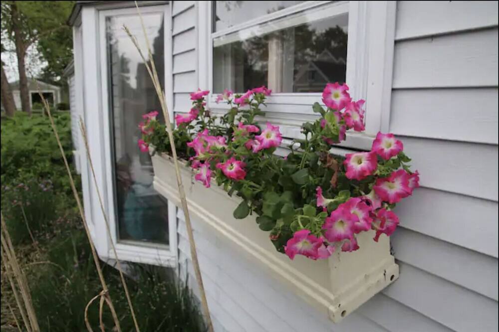 Photo of Others in Syracuse