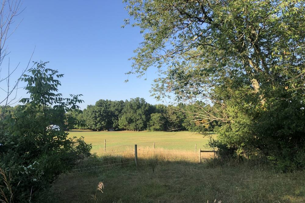 Photo of Outdoor in Oak Hill