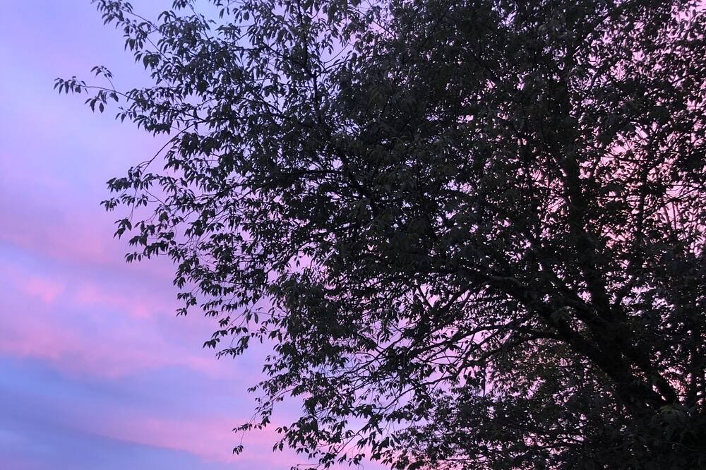 Photo of Outdoor in Oak Hill