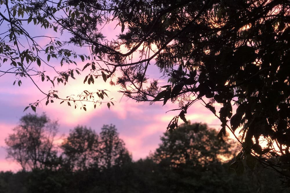 Photo of Outdoor in Oak Hill