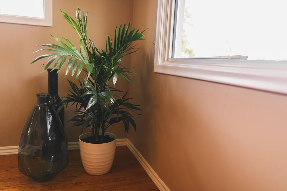 Photo of Bedroom in Plympton-Wyoming