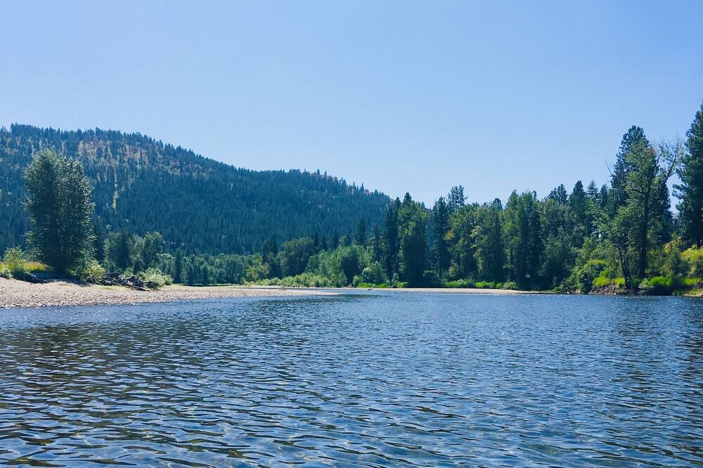 Photo of Others in Curlew