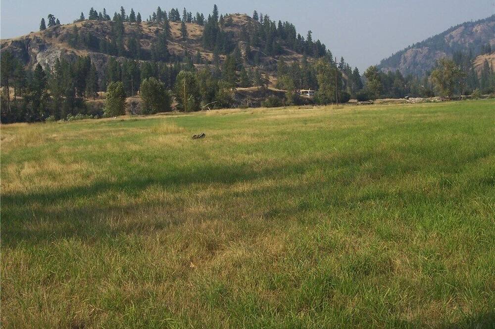 Photo of Outdoor in Curlew