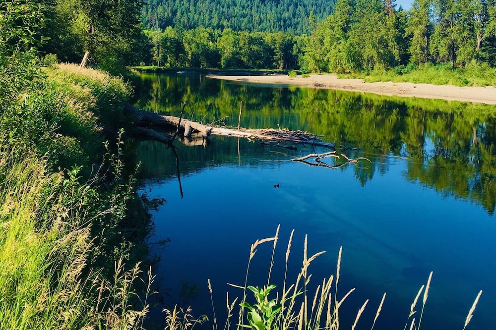 Photo of Outdoor in Curlew