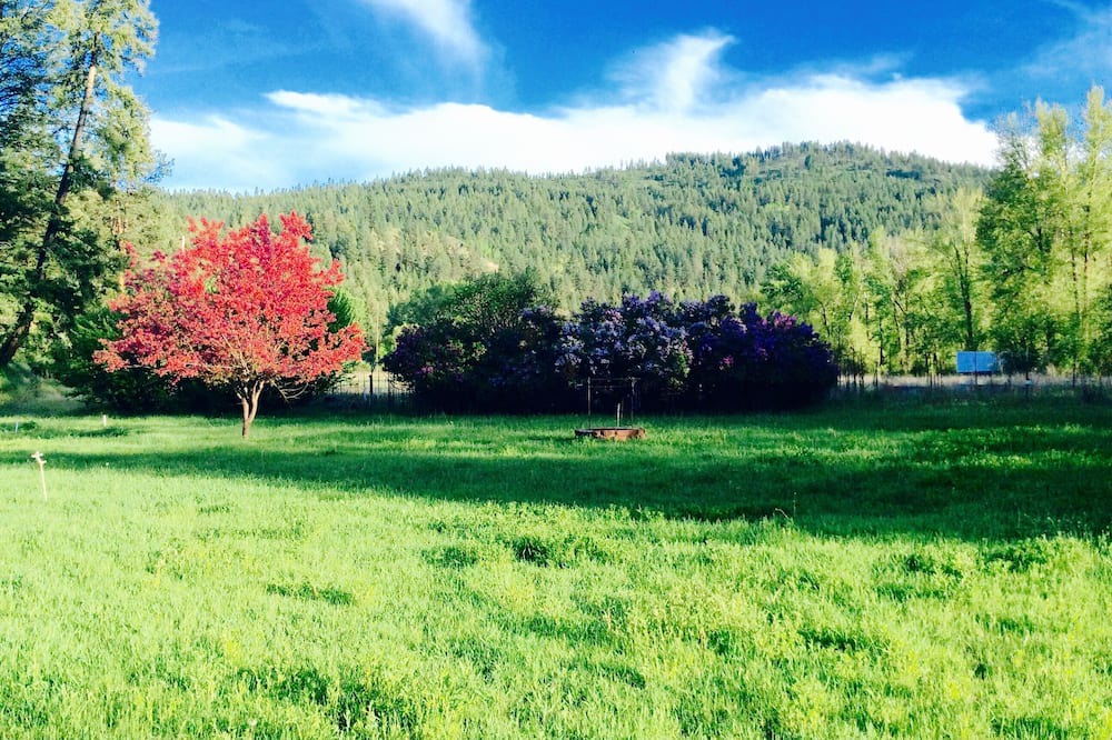 Photo of Outdoor in Curlew