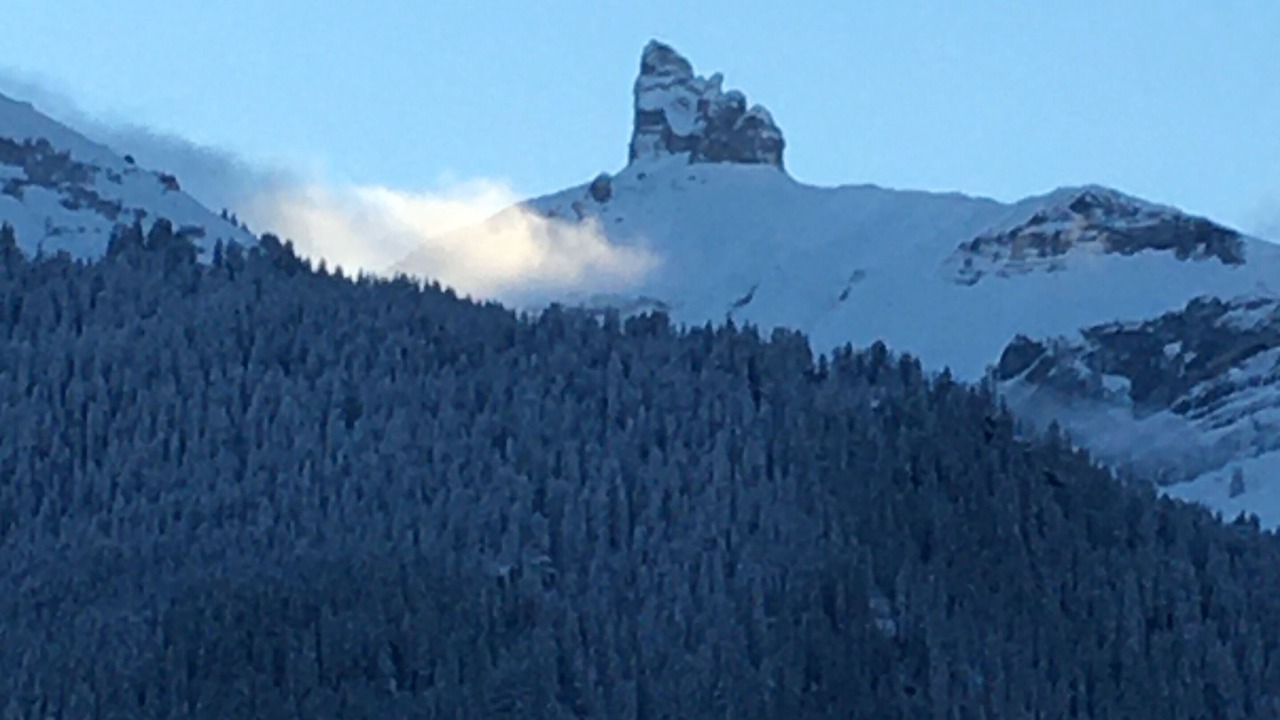 Photo of Others in Wengen