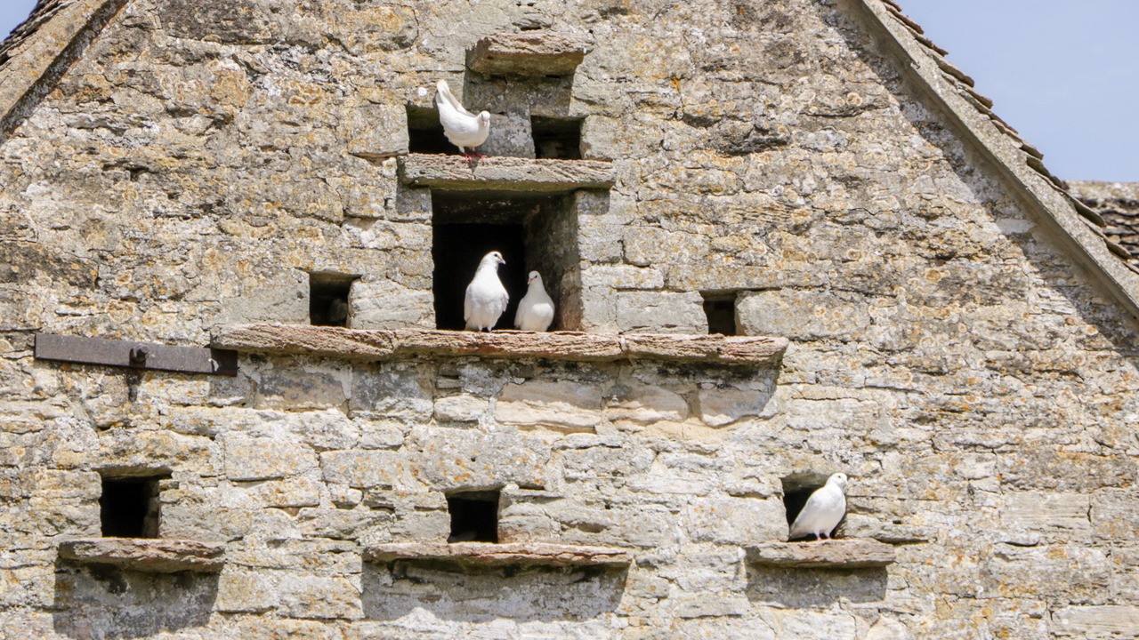 Photo of Outdoor in Nympsfield