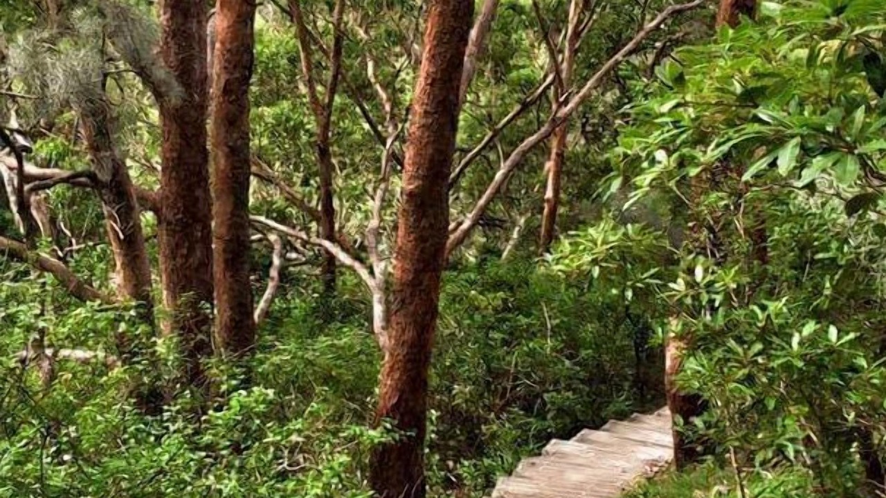 Photo of Outdoor in Bateau Bay