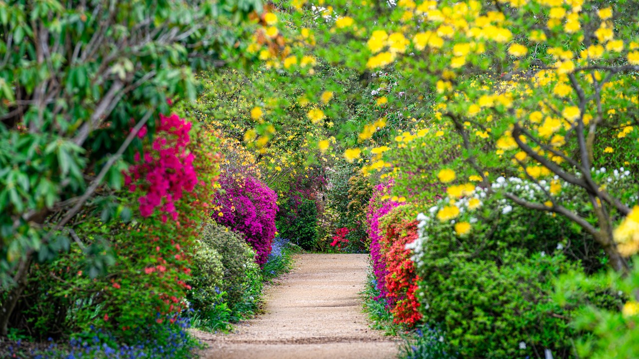Photo of Outdoor in Staplefield