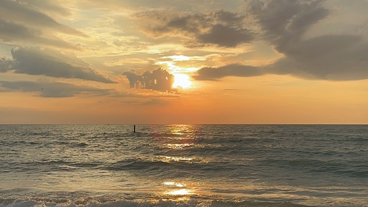 Photo of Others in Zion