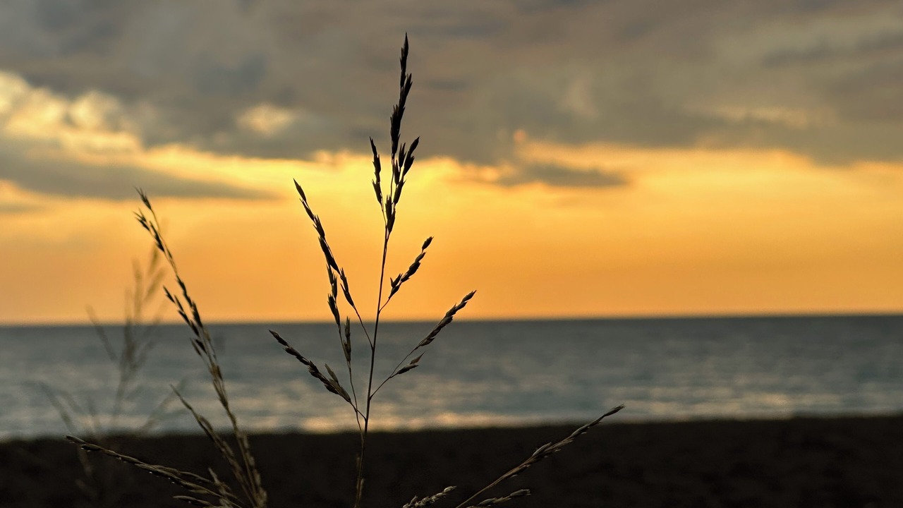 Photo of Others in Zion