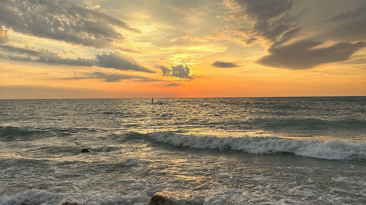 Photo of Others in Zion