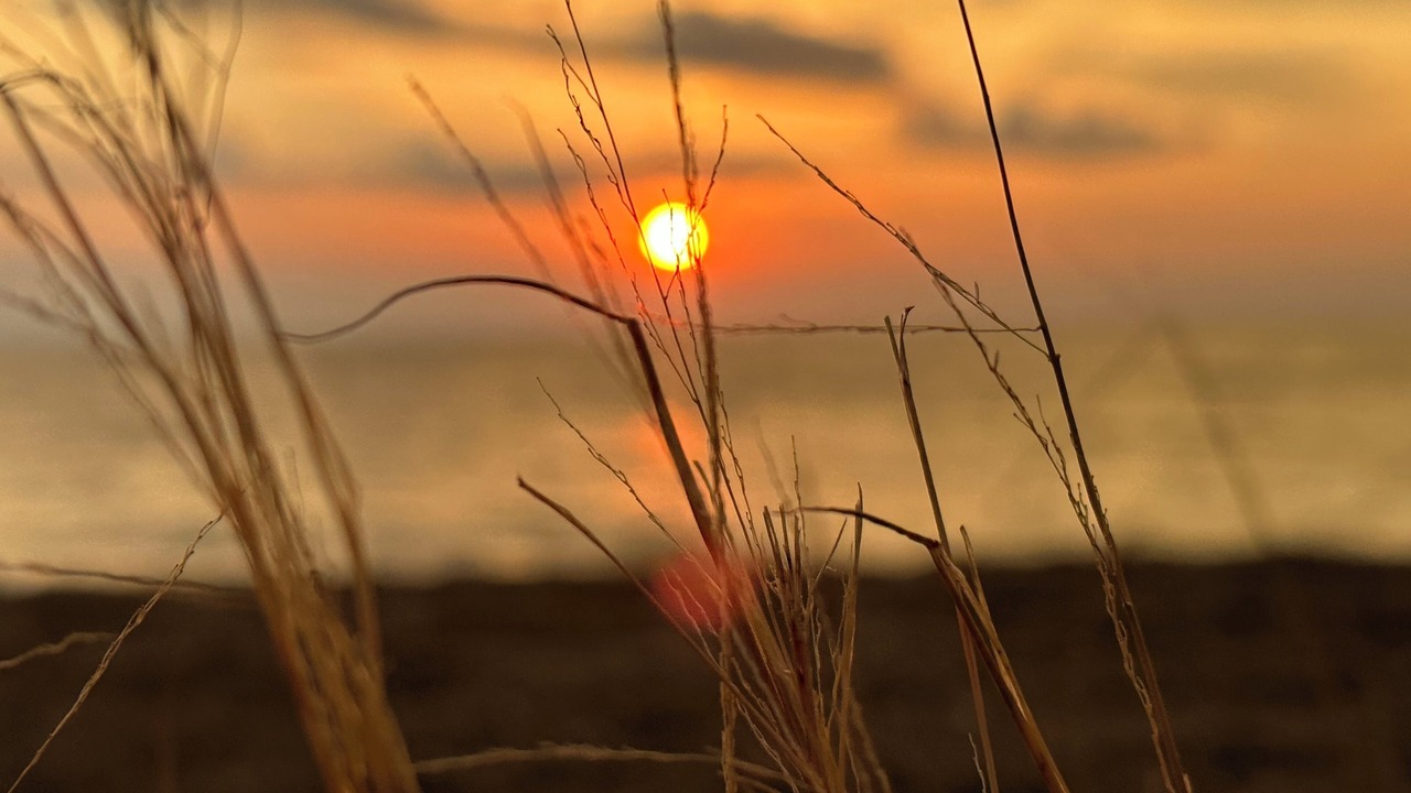Photo of Outdoor in Zion