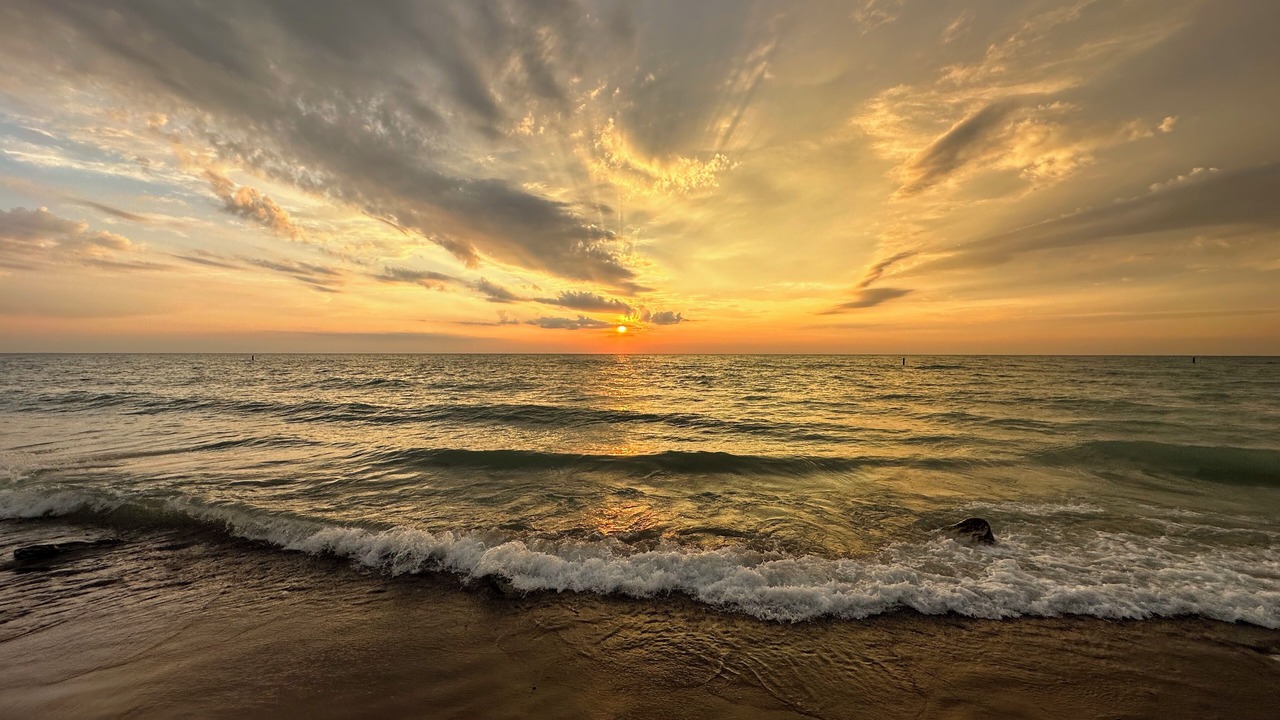 Photo of Others in Zion