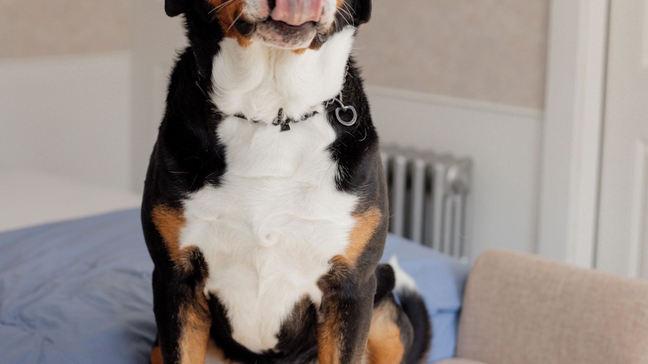 Photo of Others in Francestown